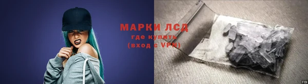 PSILOCYBIN Аркадак