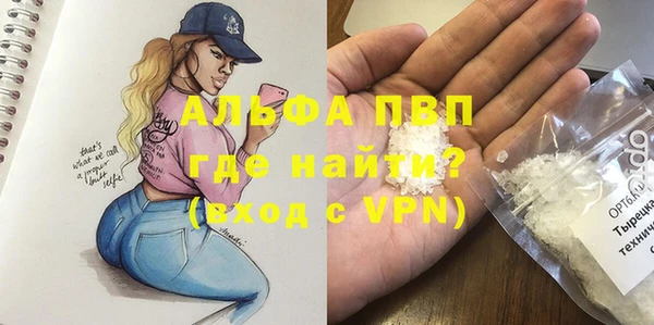 PSILOCYBIN Аркадак