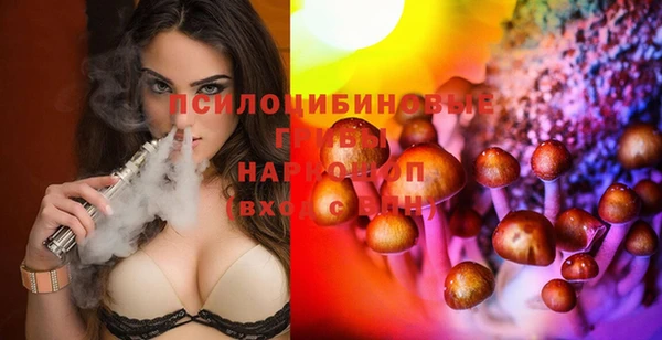 PSILOCYBIN Аркадак